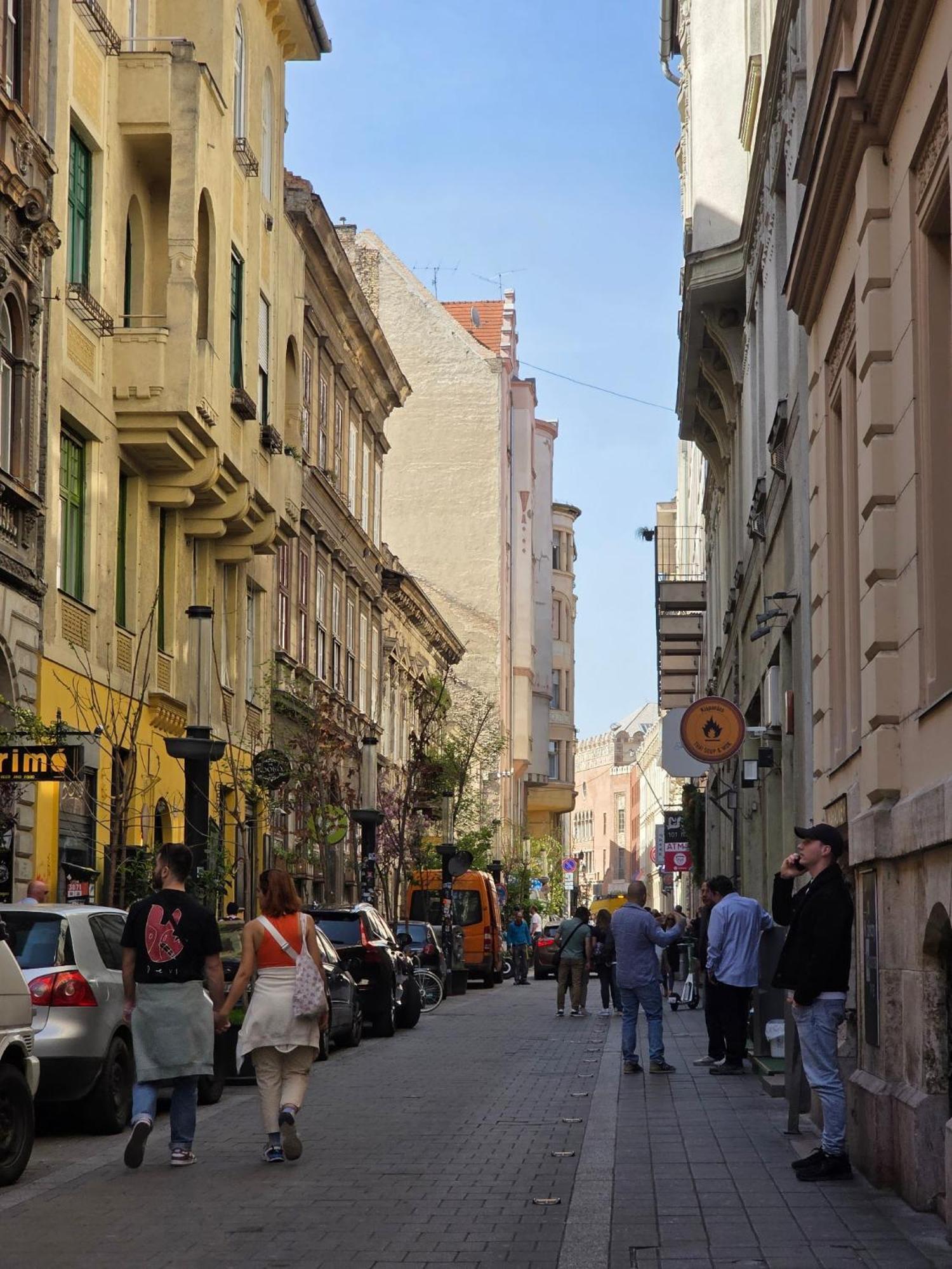 Artlovers' Flat - Kazinczy Street ブダペスト エクステリア 写真